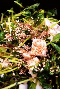 豆苗(スプラウト系)&豆腐サラダ