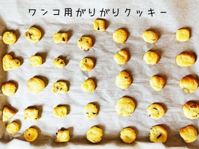 ワンコ用 ♡ サツマ芋のガリガリクッキーの写真