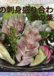 みんなが作ってる いわし 大葉 刺身のレシピ クックパッド 簡単おいしいみんなのレシピが366万品