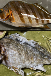 釣り人必見！タカノハダイの塩焼き