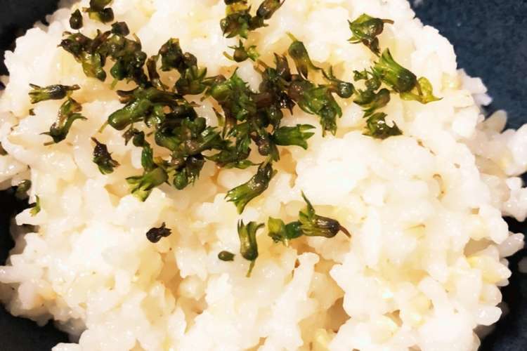 ごはんに合う 穂紫蘇の塩漬け レシピ 作り方 By Mkwm クックパッド 簡単おいしいみんなのレシピが374万品