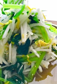 大根　小松菜　食用菊のサラダ