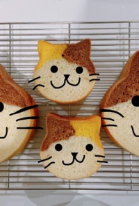 ミルク食パン☆猫パン1斤型と猫パン型ミニ