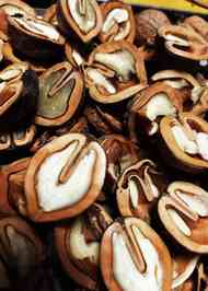 みんなが作ってる くるみの割り方のレシピ クックパッド 簡単おいしいみんなのレシピが360万品