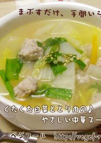 くたくた白菜ととり肉のやさしい中華スープ