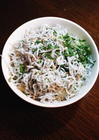 簡単☆ネギしらす丼