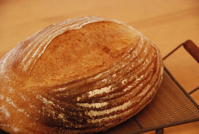 玄米粉のふんわりパンの画像