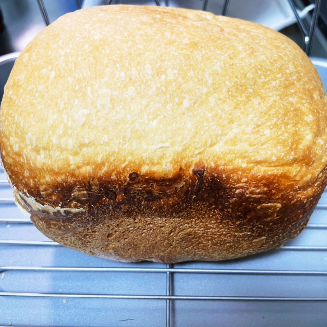 お家のがみ アイリスオーヤマHB