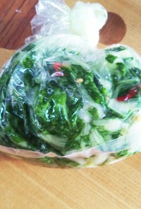 袋漬●京菜(水菜)
