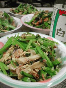 壬生菜とアミエビの炒め物