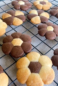 押し花クッキーの作り方（基本）