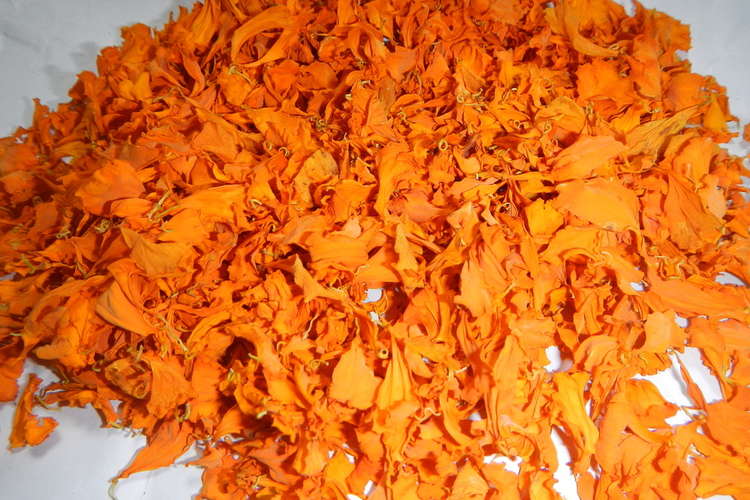 マリーゴールド ルテイン の収穫と加工 レシピ 作り方 By 夢遊草 クックパッド 簡単おいしいみんなのレシピが365万品