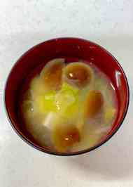 みんなが作ってる なめこ ねぎ みそ汁のレシピ クックパッド 簡単おいしいみんなのレシピが360万品