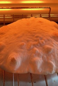 膨らまなかったピタパンを膨らませる方法