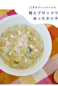 犬ご飯/鮭とブロッコリーの豆乳シチュー