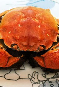 肉が綺麗に取れる上海蟹の剥き方