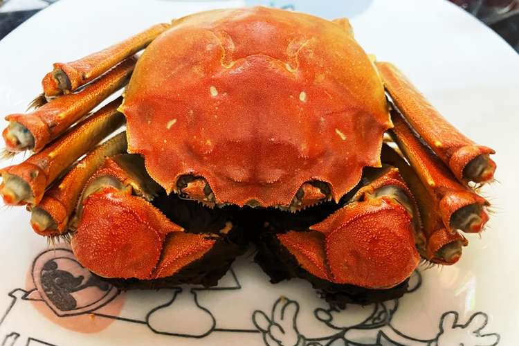 肉が綺麗に取れる上海蟹の剥き方 レシピ 作り方 By クックnl5do9 クックパッド 簡単おいしいみんなのレシピが375万品