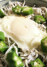 ヘルシー♡シラス丼