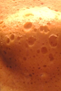 簡単:レンジ３分:柚子の蒸しパン