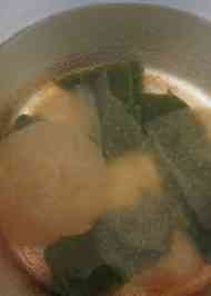 みんなが作ってる 味付き こんにゃくのレシピ クックパッド 簡単おいしいみんなのレシピが364万品