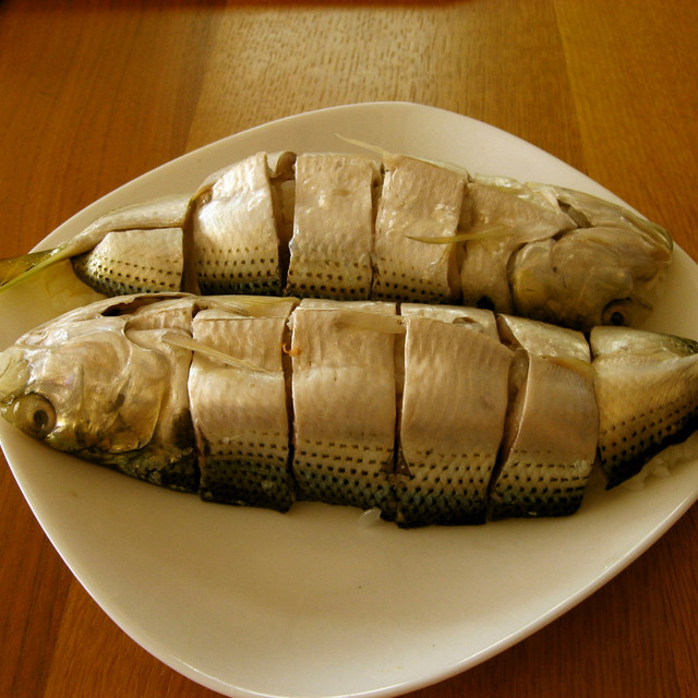 熊本このしろ姿寿司 レシピ 作り方 By ちほぱん クックパッド