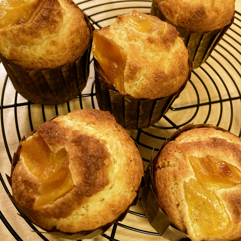 みんなの ドライマンゴー レシピが853品 クックパッド