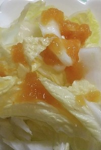 シンプル白菜サラダ＆玉ねぎドレッシング