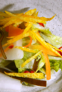 塩分控えめ…彩り白菜の浅漬け