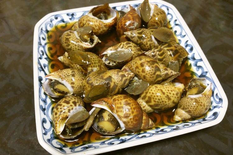バイ貝の煮付け レシピ 作り方 By だるま丸 クックパッド 簡単おいしいみんなのレシピが366万品