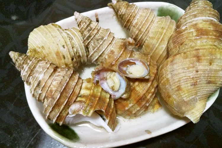 灯台ツブの塩ゆで レシピ 作り方 By だるま丸 クックパッド 簡単おいしいみんなのレシピが363万品