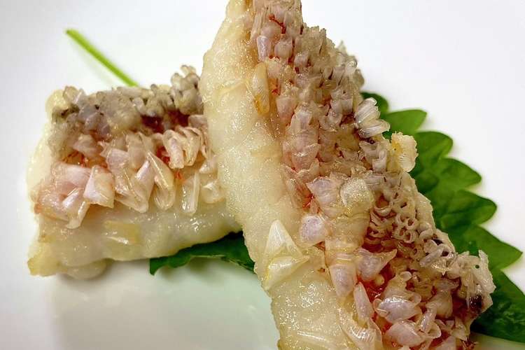 南伊勢で釣り上げた甘鯛の松笠揚げ レシピ 作り方 By Cookjay クックパッド 簡単おいしいみんなのレシピが374万品