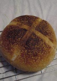 初めての自家製酵母のパン（りんご酵母）