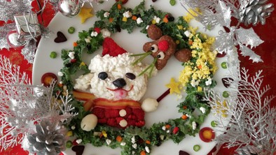 キラキラ魔法のクリスマスプレート犬ご飯の写真