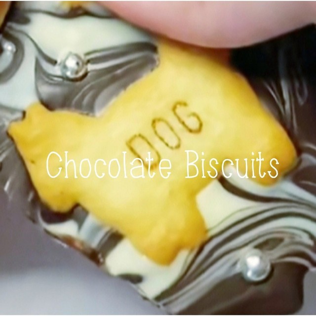 めっちゃ簡単 チョコビスケット レシピ 作り方 By ｋｏｕｋｉ クックパッド 簡単おいしいみんなのレシピが364万品