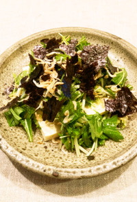 【カルシウム】豆腐と水菜のサラダ