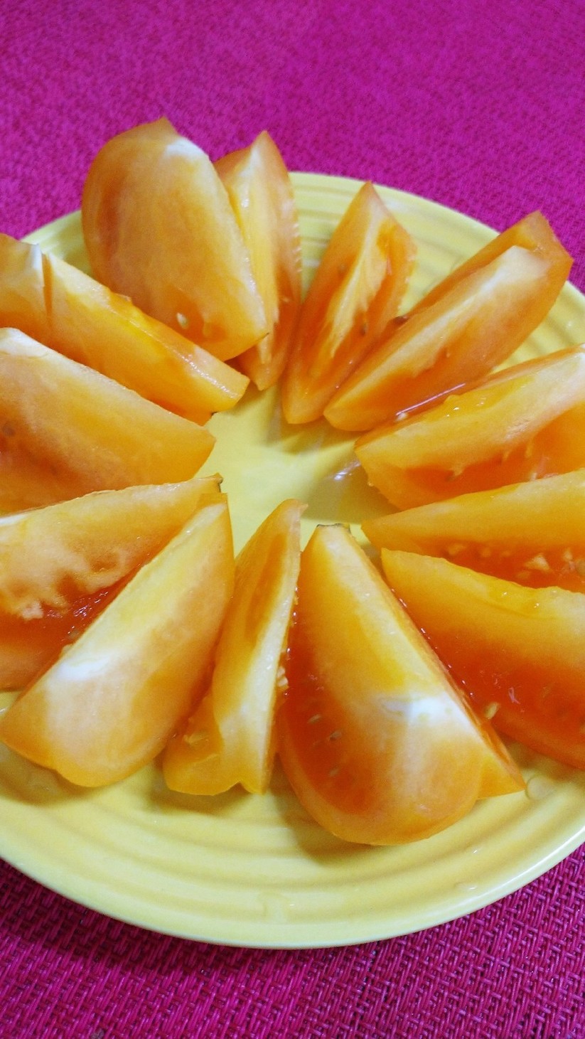 オレンジ色トマトはゴールド桃太郎の画像