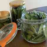 ローリエ ローレル 月桂樹の葉 ベイリーフ とは クックパッド料理の基本