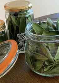 みんなが作ってる 乾燥ローリエ 作り方のレシピ クックパッド 簡単おいしいみんなのレシピが373万品