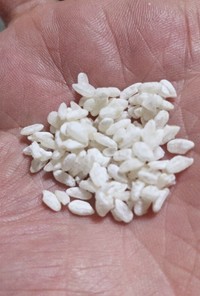 米麹を２日で簡単に作る方法 