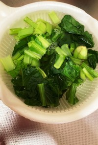 小松菜の冷凍保存方法から解凍