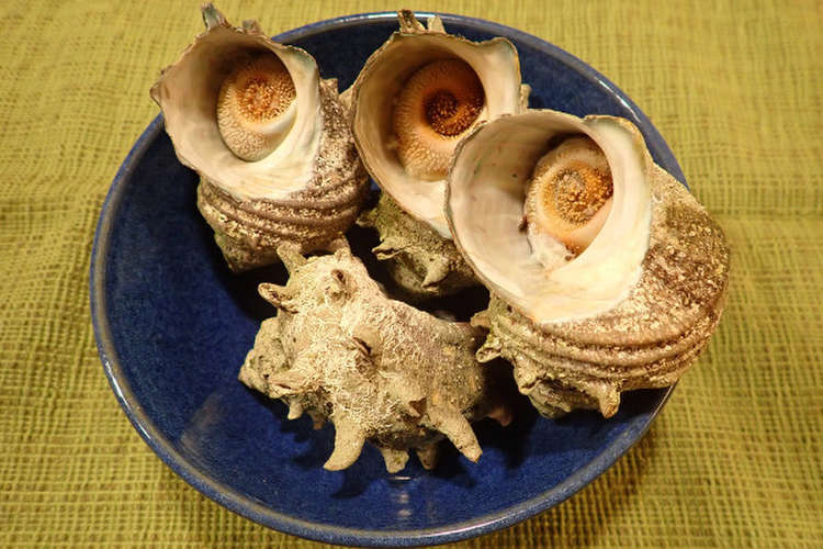 サザエの塩茹で レシピ 作り方 By あおもりの肴 クックパッド 簡単おいしいみんなのレシピが373万品