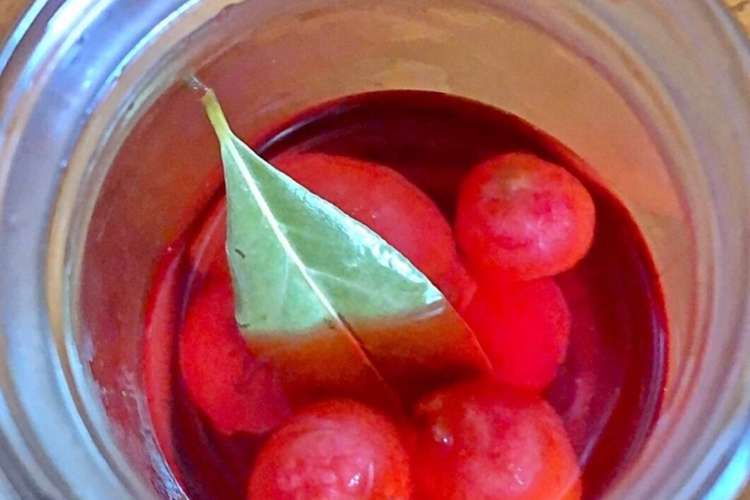 コロッとカワユス ラディッシュのピクルス レシピ 作り方 By 山盛りのネギはサラダ クックパッド 簡単おいしいみんなのレシピが365万品