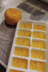 柚子ブロック(ゆず茶、ゆずシロップ)