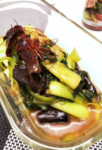 青梗菜とキクラゲのオイスターソース低カロ