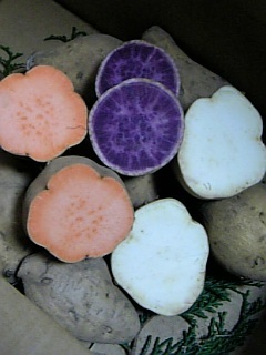 カラフルさつま芋のパウンドケーキの画像