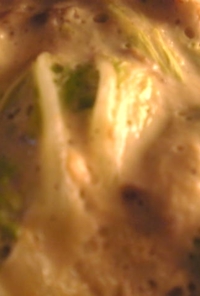 鶏挽肉と白菜と豆乳のパスタ