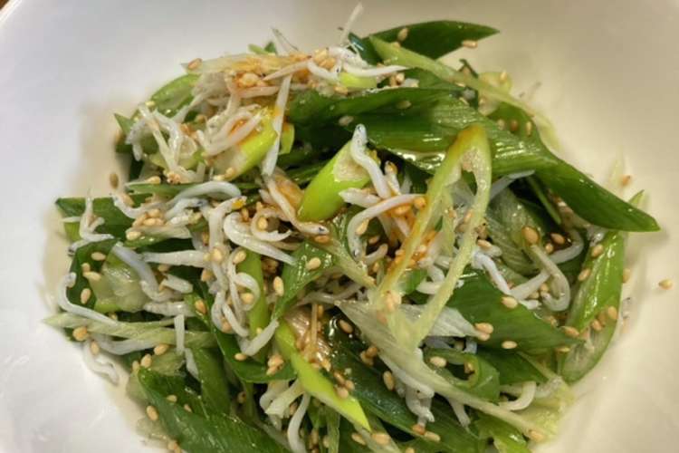 簡単つまみ 九条ネギとしらすのごま油和え レシピ 作り方 By ｑックパッド クックパッド 簡単おいしいみんなのレシピが367万品