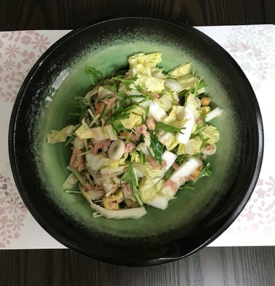 白菜　サラダの写真