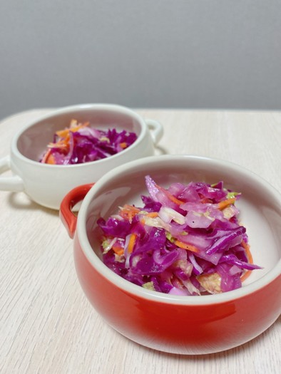 紫キャベツと白菜と人参の塩麹サラダの写真