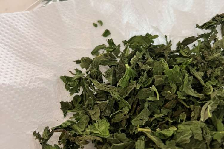 バジルの保存 ドライバジル レシピ 作り方 By 551makochi クックパッド 簡単おいしいみんなのレシピが378万品